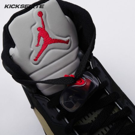 Jordan 5 Retro Gore-Tex Off-Noir DR0092-001 Men's